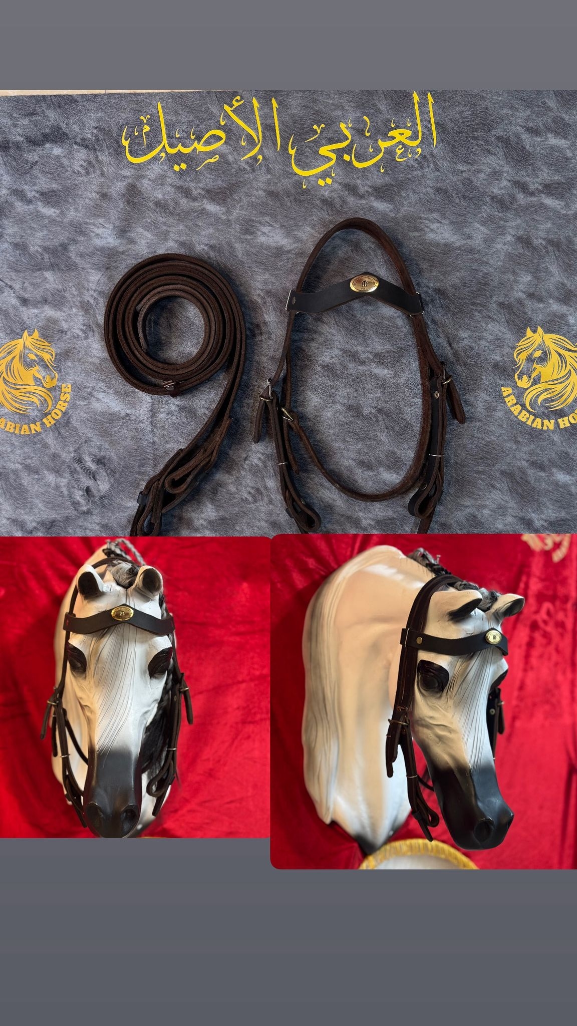 راسية مع صروعة(سحبات)