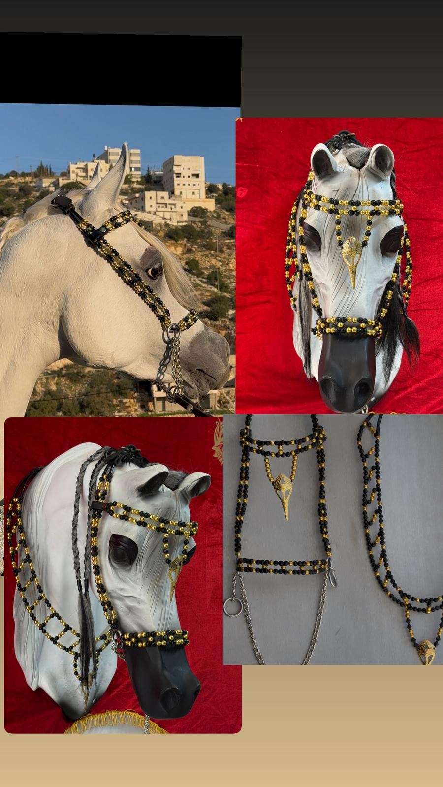 طقم جمال فاخر أسود وذهبي (رشمة مع عقد الرقبة) - صورة 1