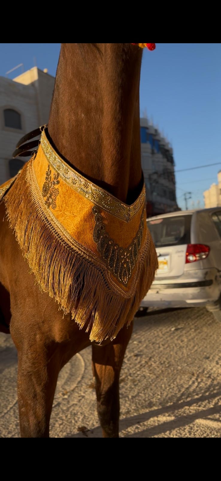 طقم جمال فاخر (قطعتين)