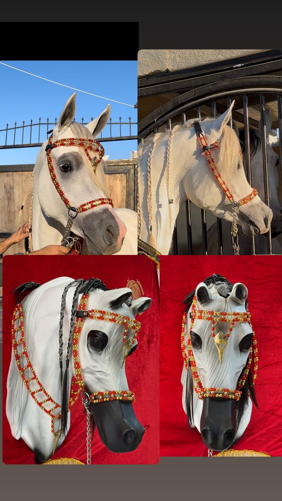 طقم جمال فاخر (رشمة مع عقد الرقبة)