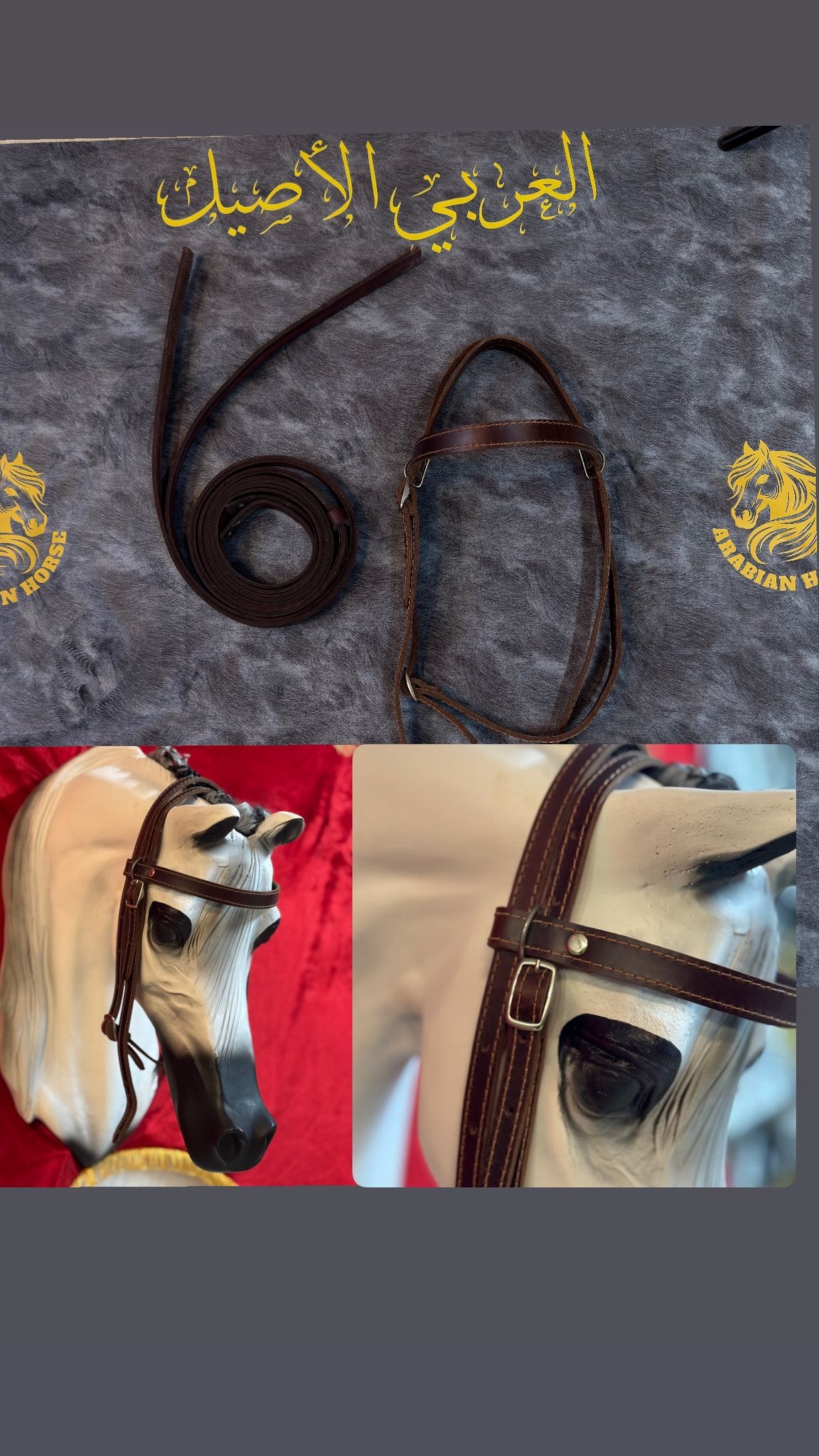 راسية مع صروعة(سحبات)