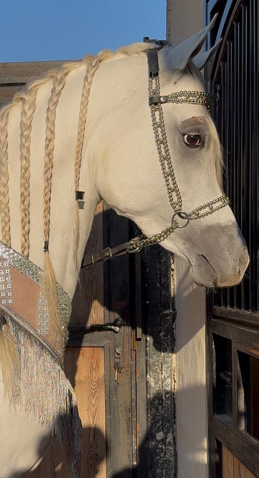 طقم جمال فاخر فضي (رشمة مع عقد الرقبة) - صورة 2