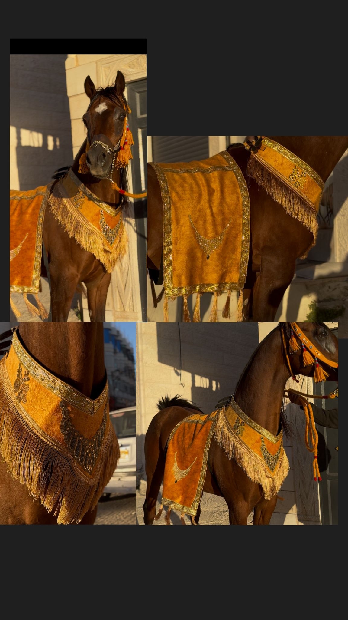 طقم جمال فاخر (قطعتين)