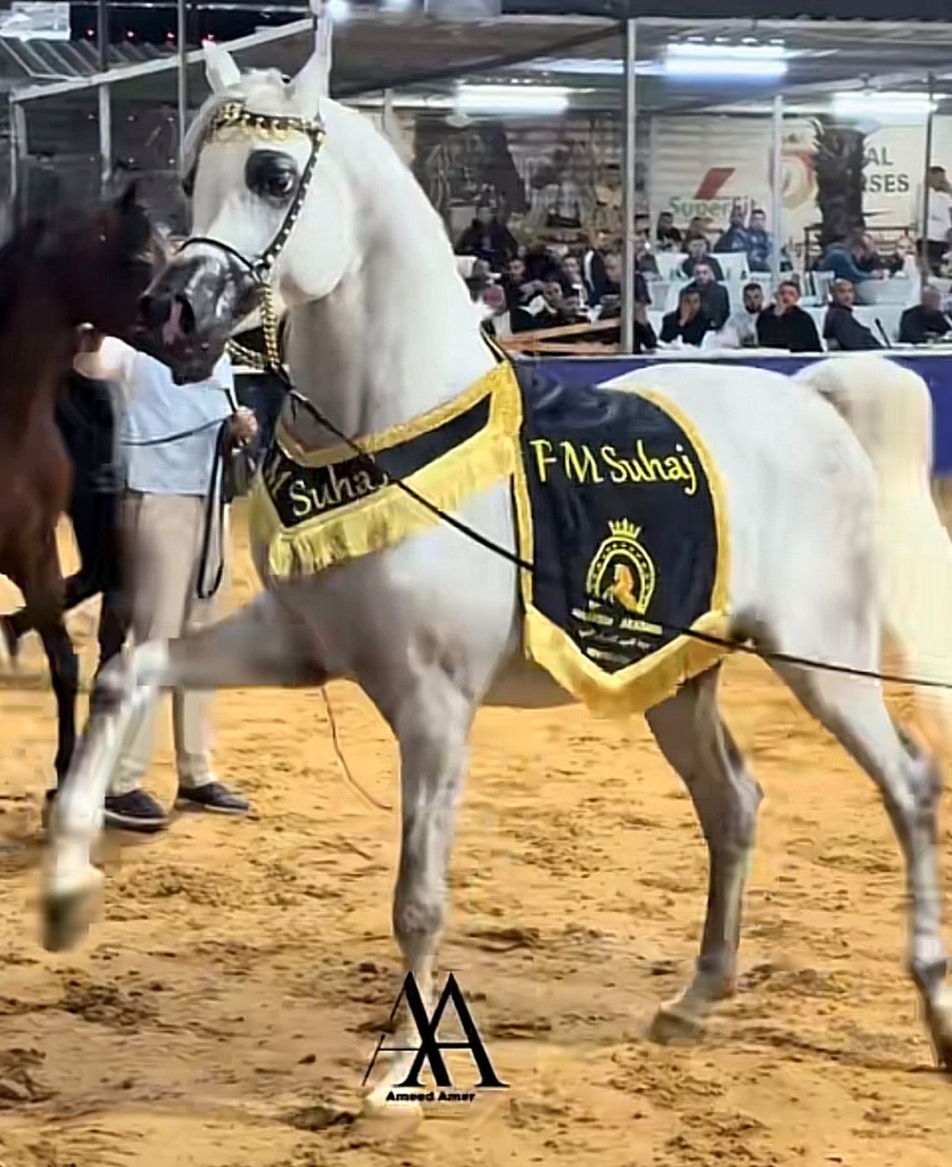 شلال عروض رقبة زاوية (٧) - صورة 3