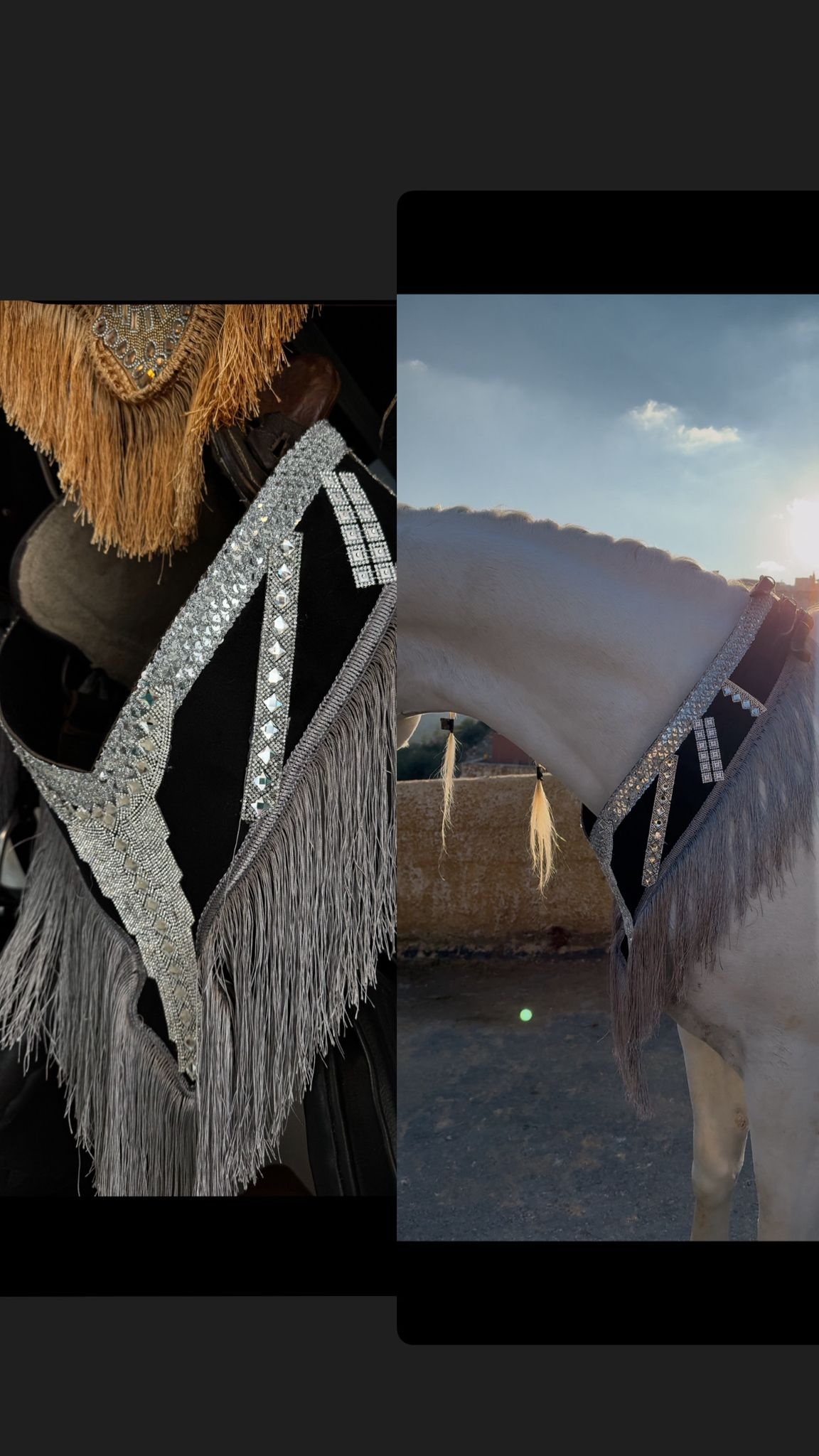 صداري الجمال (تتويج)