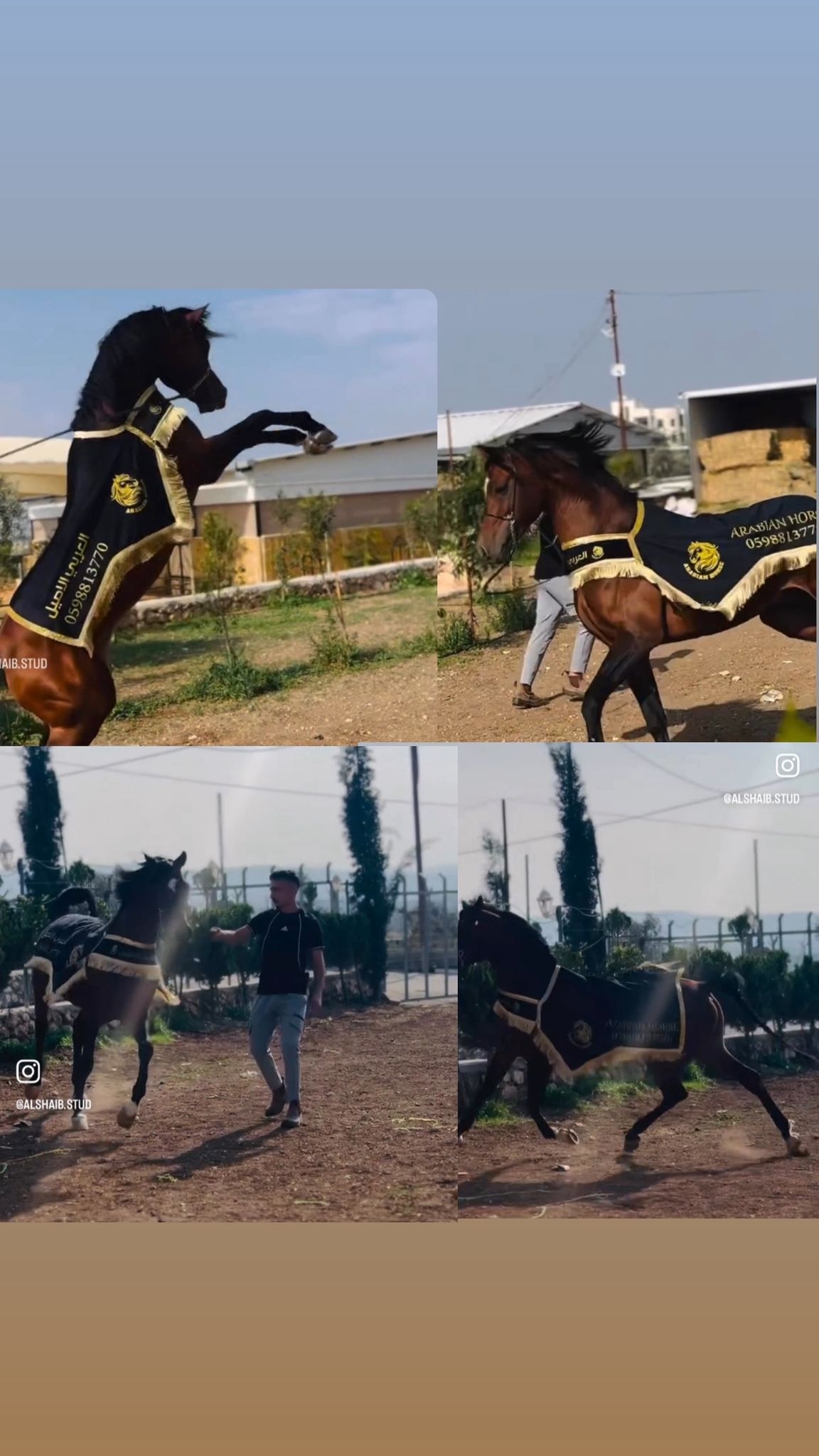 شلال عروض الجمال طويل - صورة 1