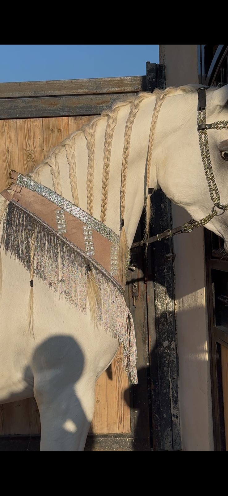 صداري الجمال (تتويج)