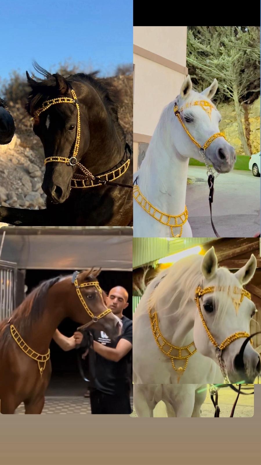 طقم جمال فاخر ذهبي (رشمة مع عقد الرقبة)  - صورة 1