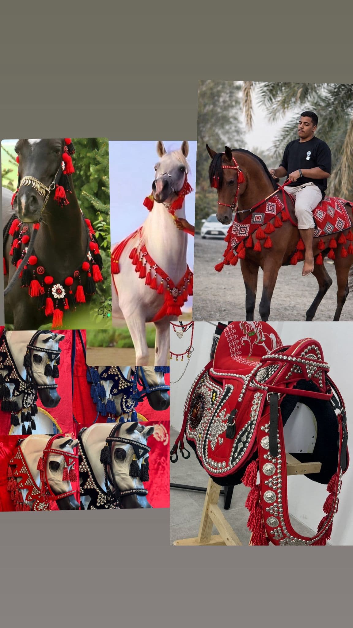 زينة ركوب الخيل