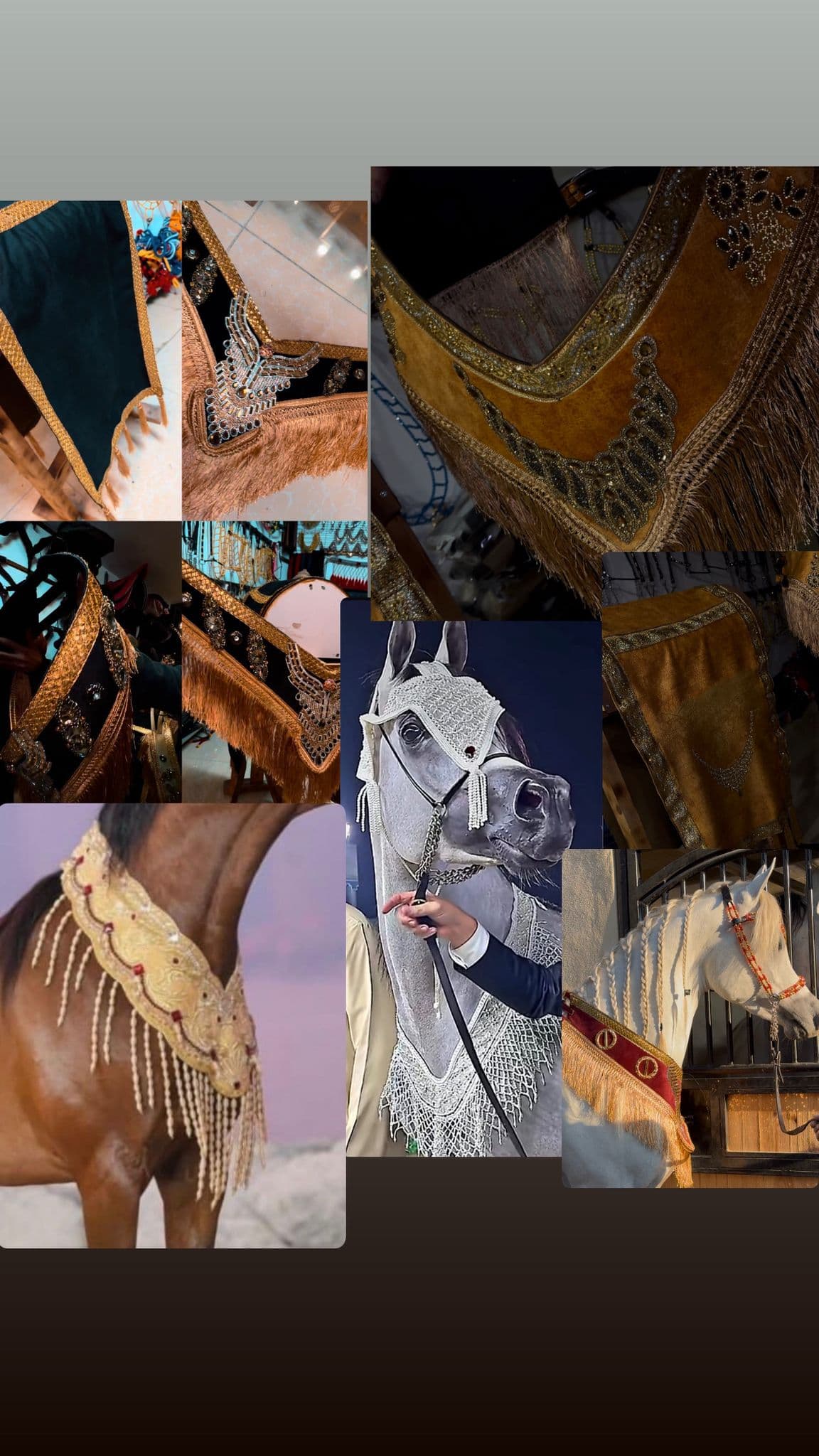 اطقم عروض الجمال