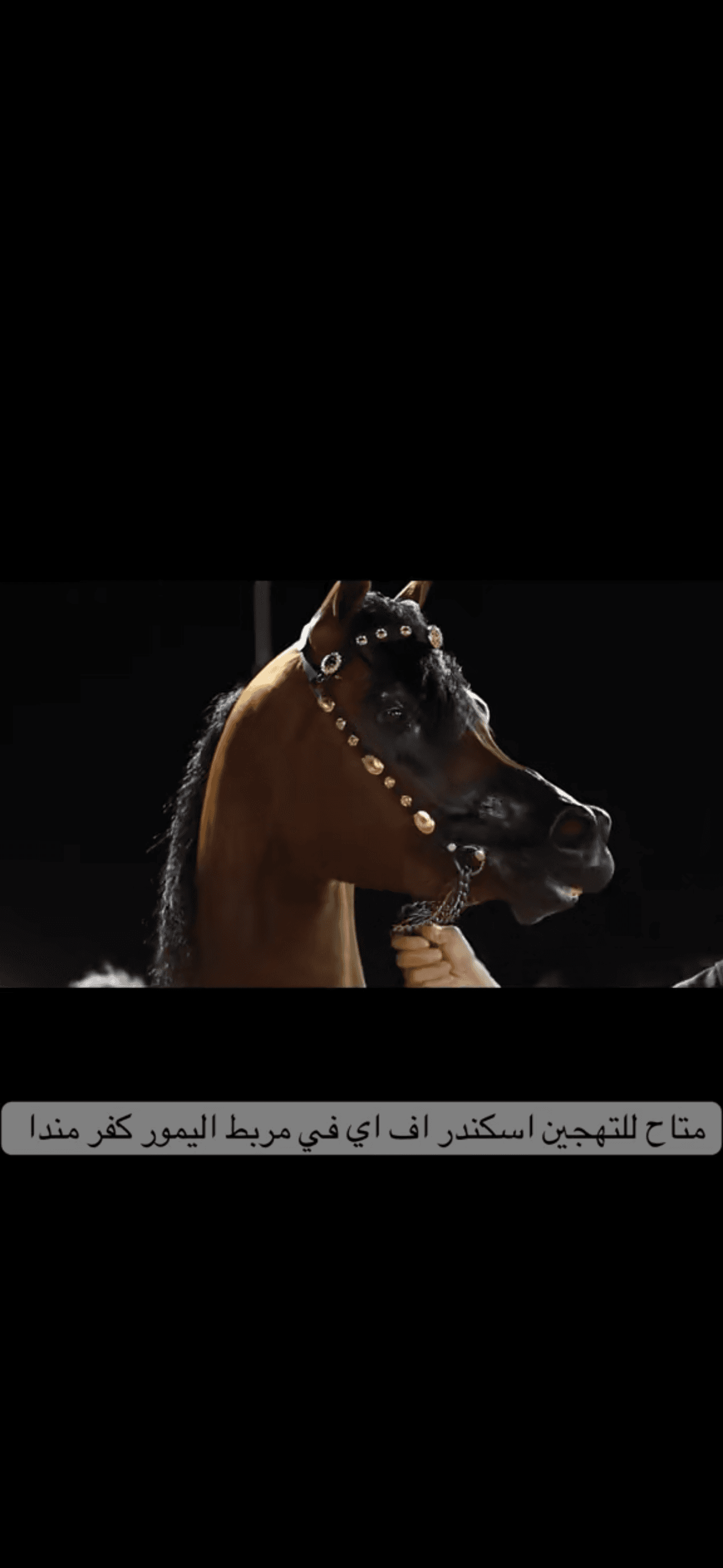 رشمة عروض - صورة 5