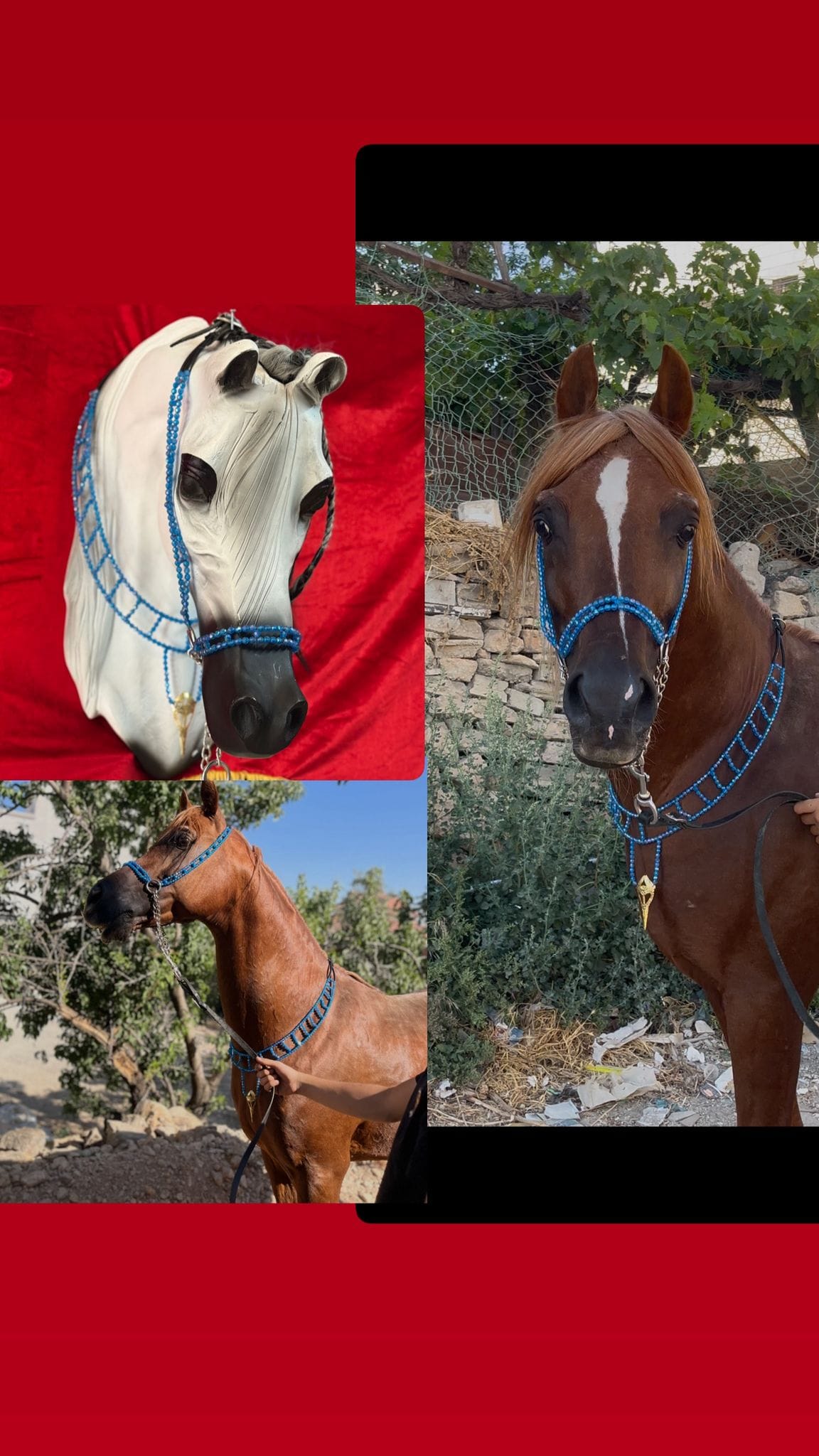 طقم جمال فاخر أزرق (بدون سيالة)