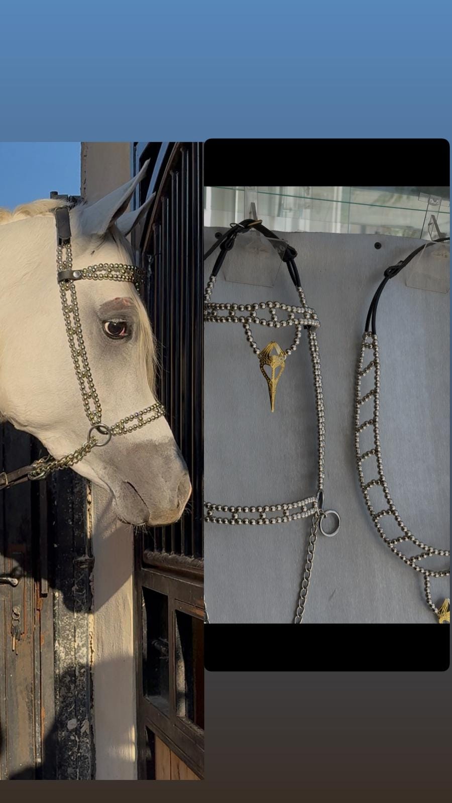 طقم جمال فاخر فضي (رشمة مع عقد الرقبة) thumbnail 1