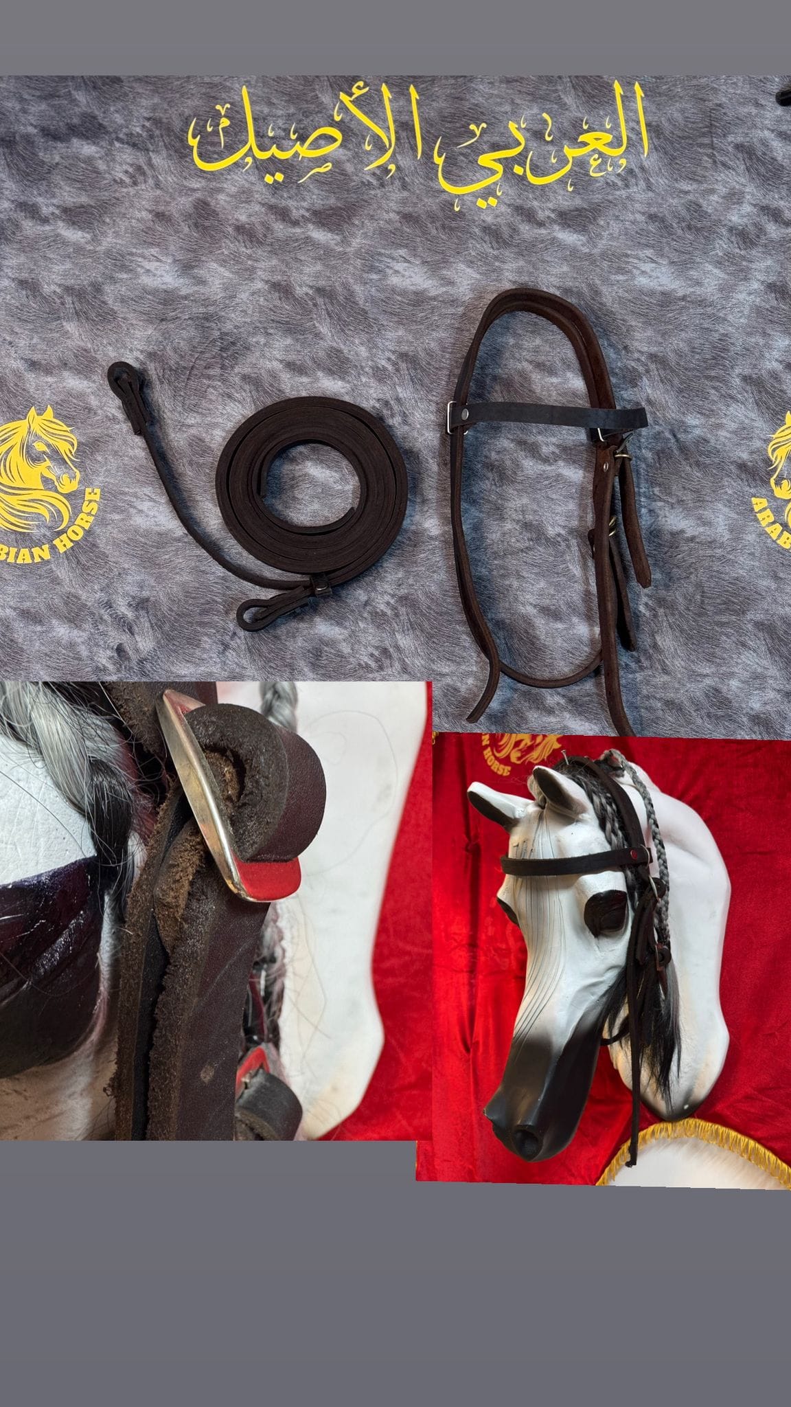 راسية مع صروعة(سحبات)