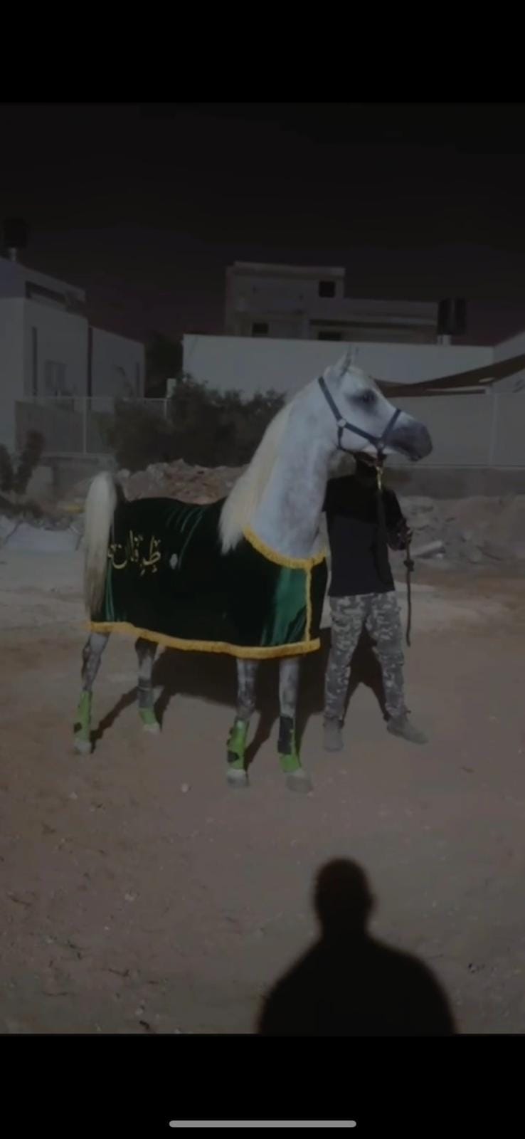 كوبان زينة صيفي