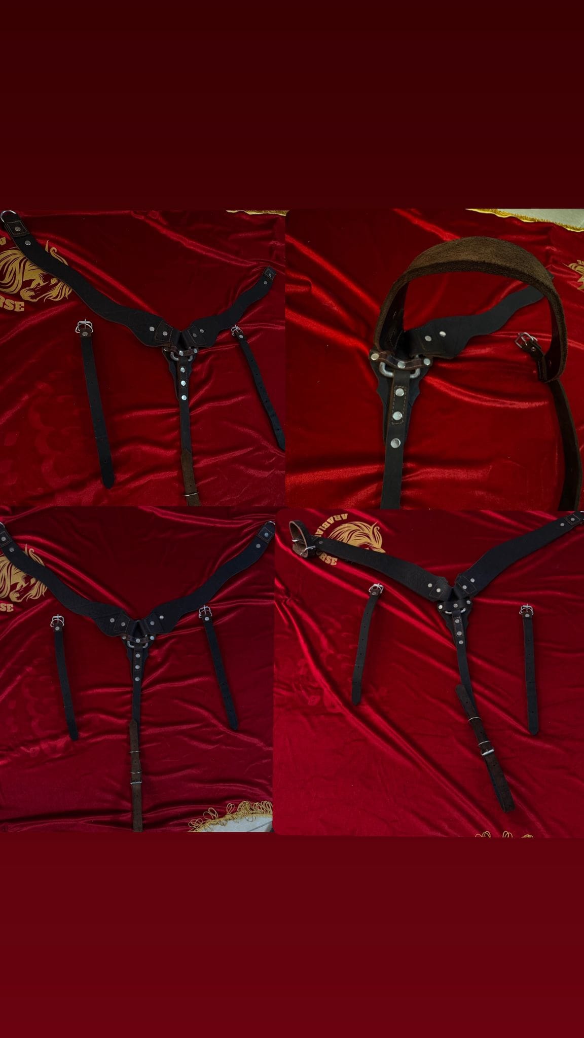 صدرية خيل جلدية