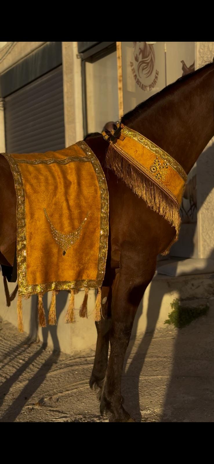 طقم جمال فاخر (قطعتين)