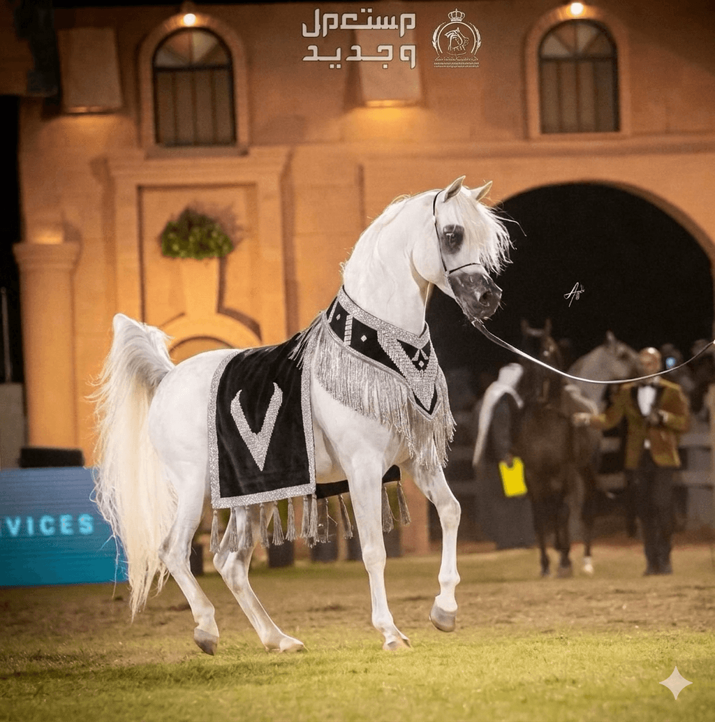 طقم الجمال