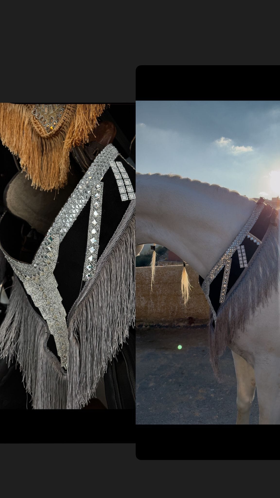 صداري الجمال (تتويج)