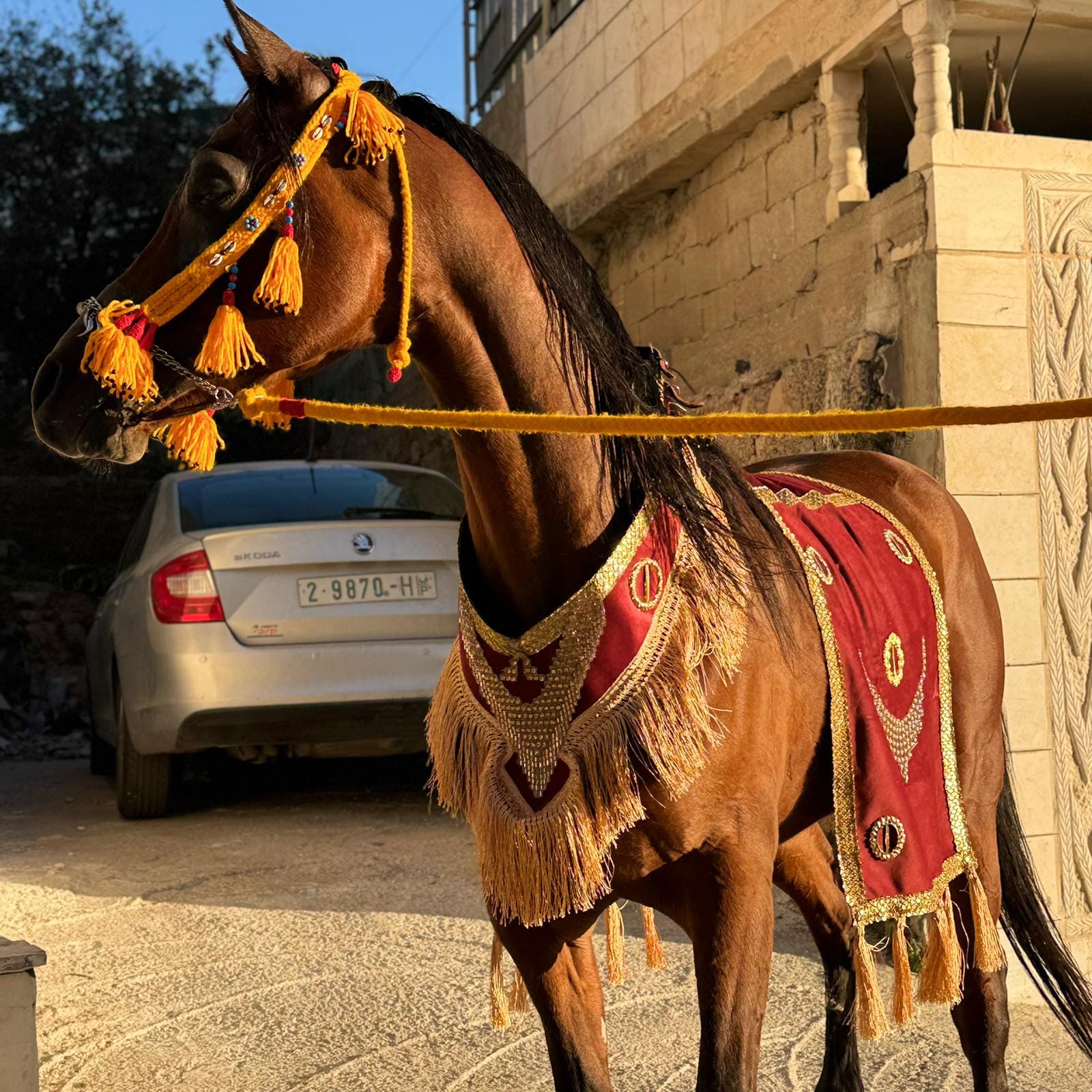 طقم جمال فاخر (قطعتين)