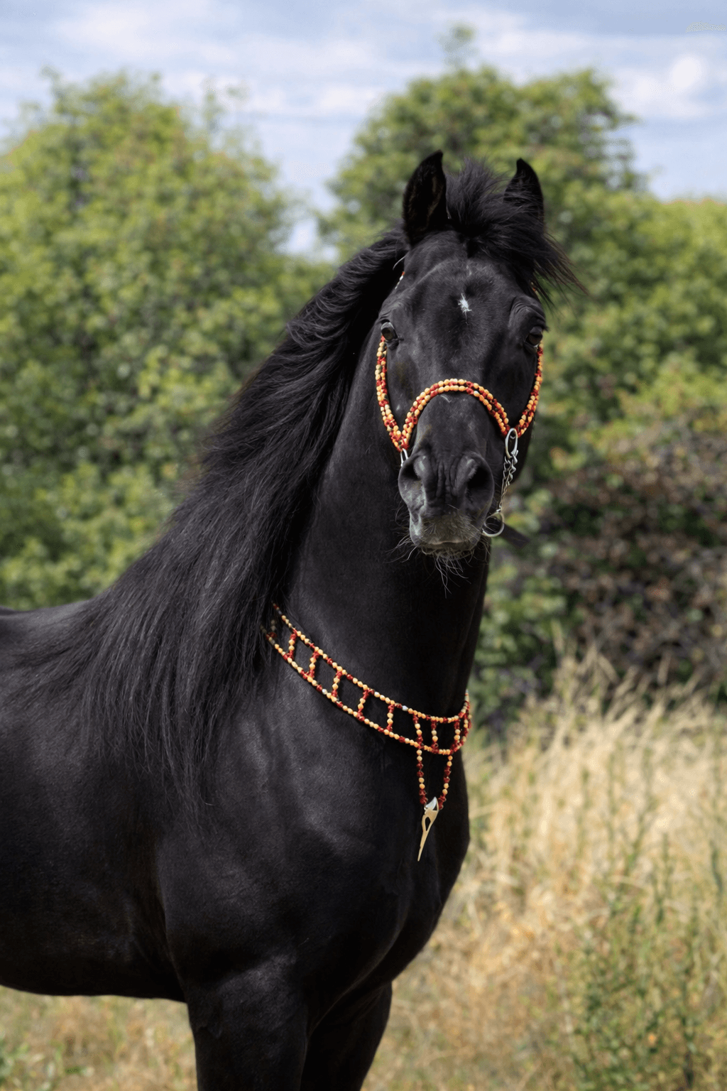 طقم جمال فاخر أحمر وذهبي (بدون سيالة)