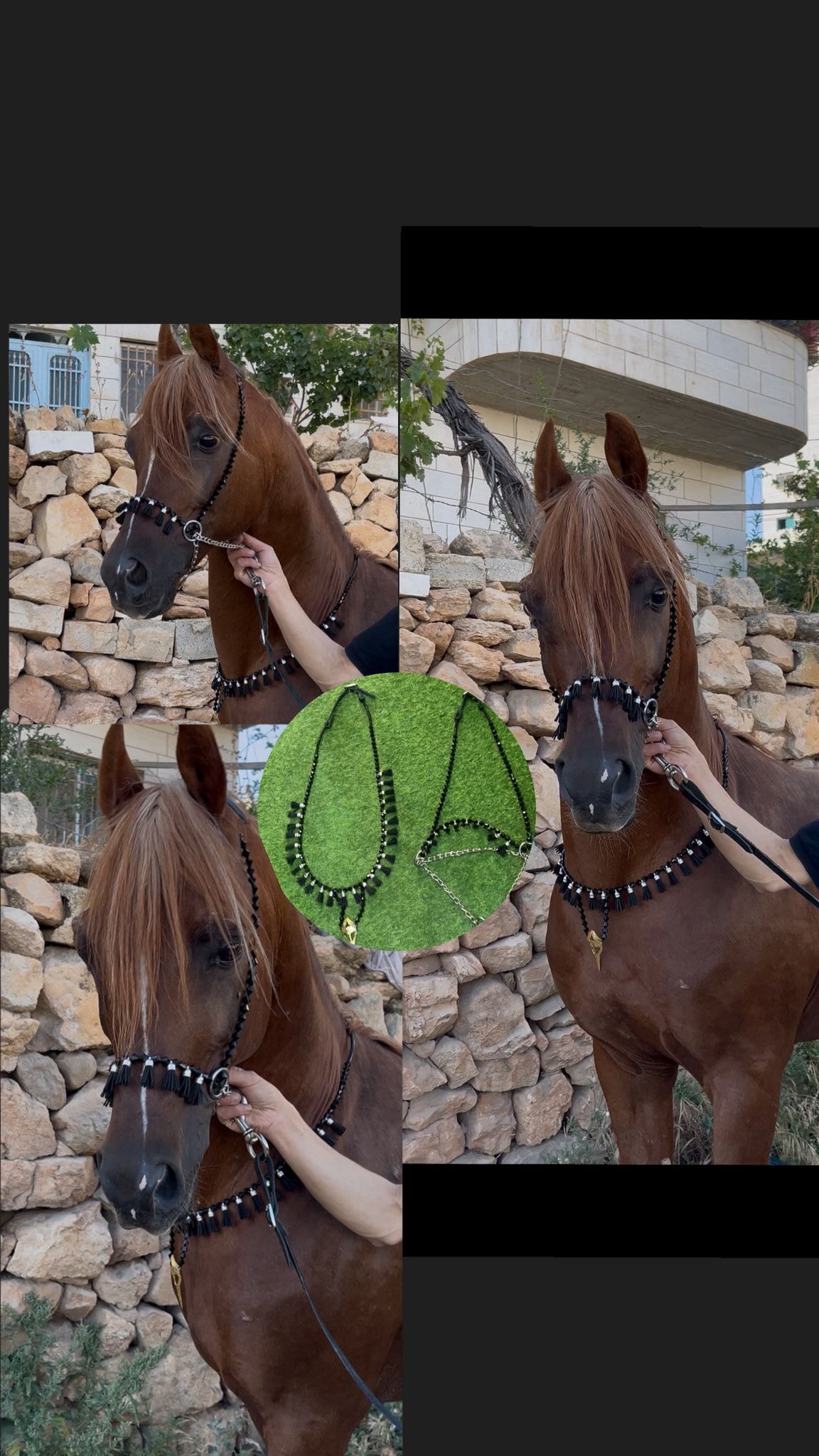 طقم جمال أسود بشناف