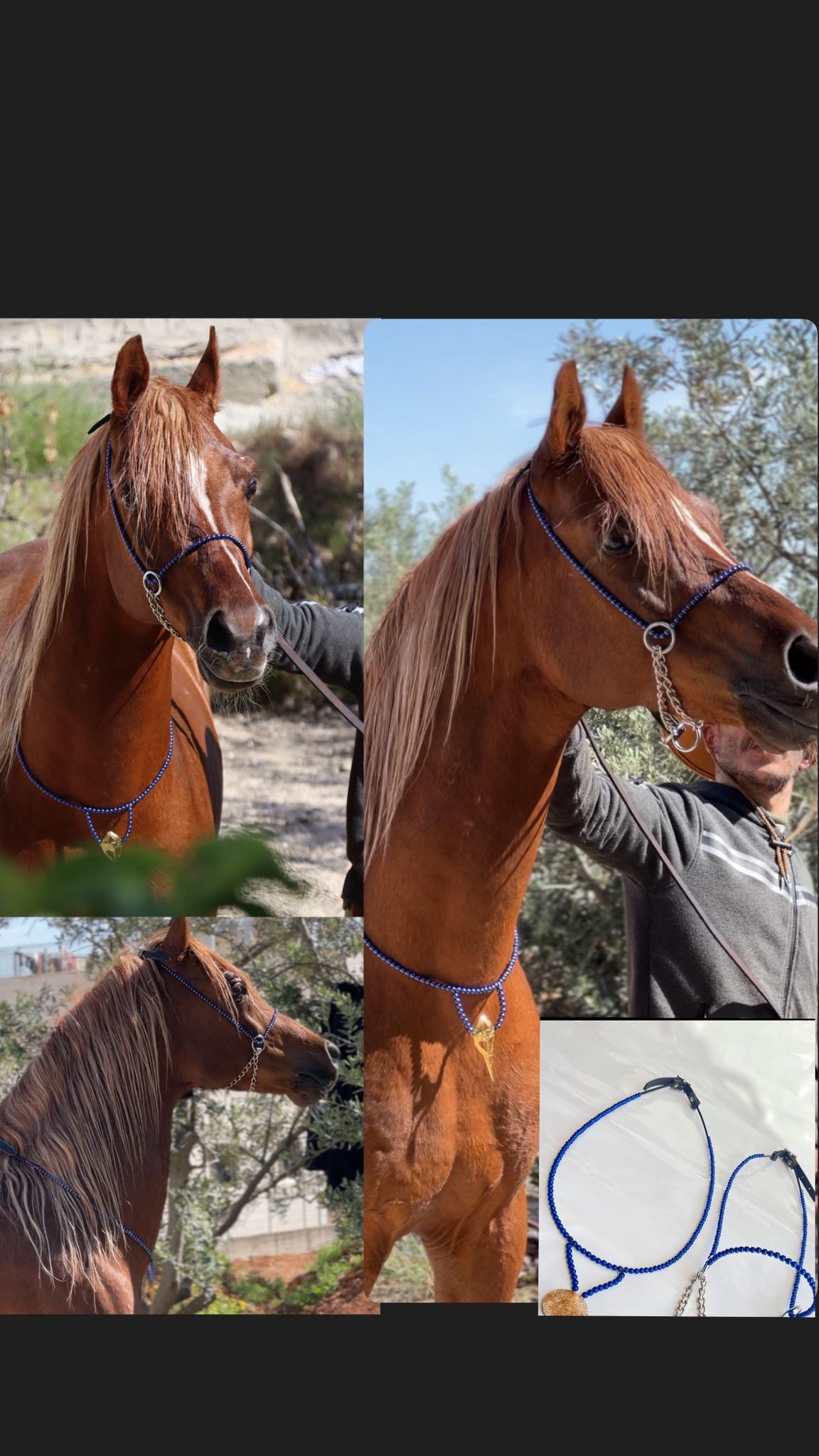 طقم جمال أسود بدون شناف