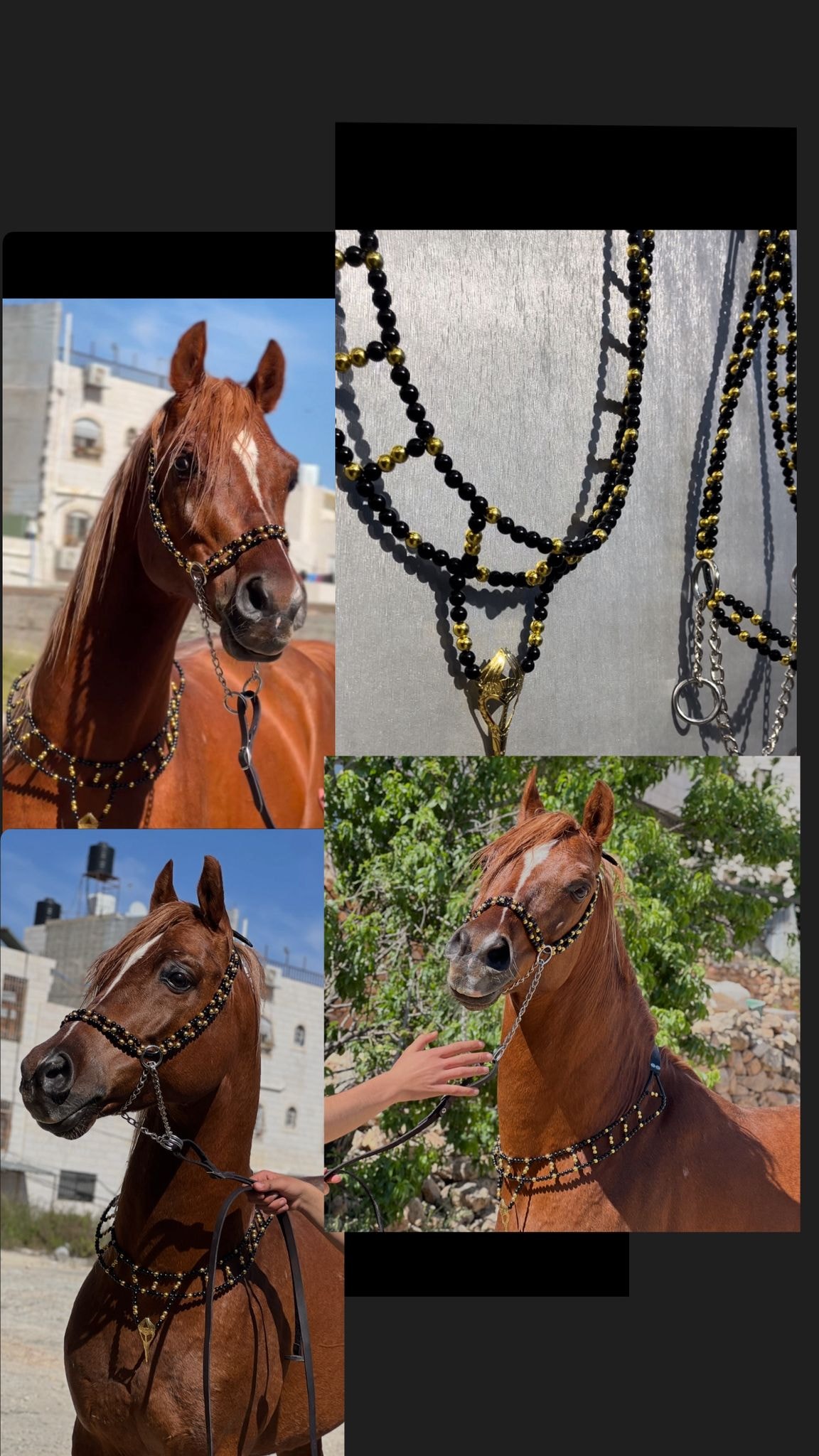 طقم جمال فاخر أسود وذهبي (بدون سيالة)