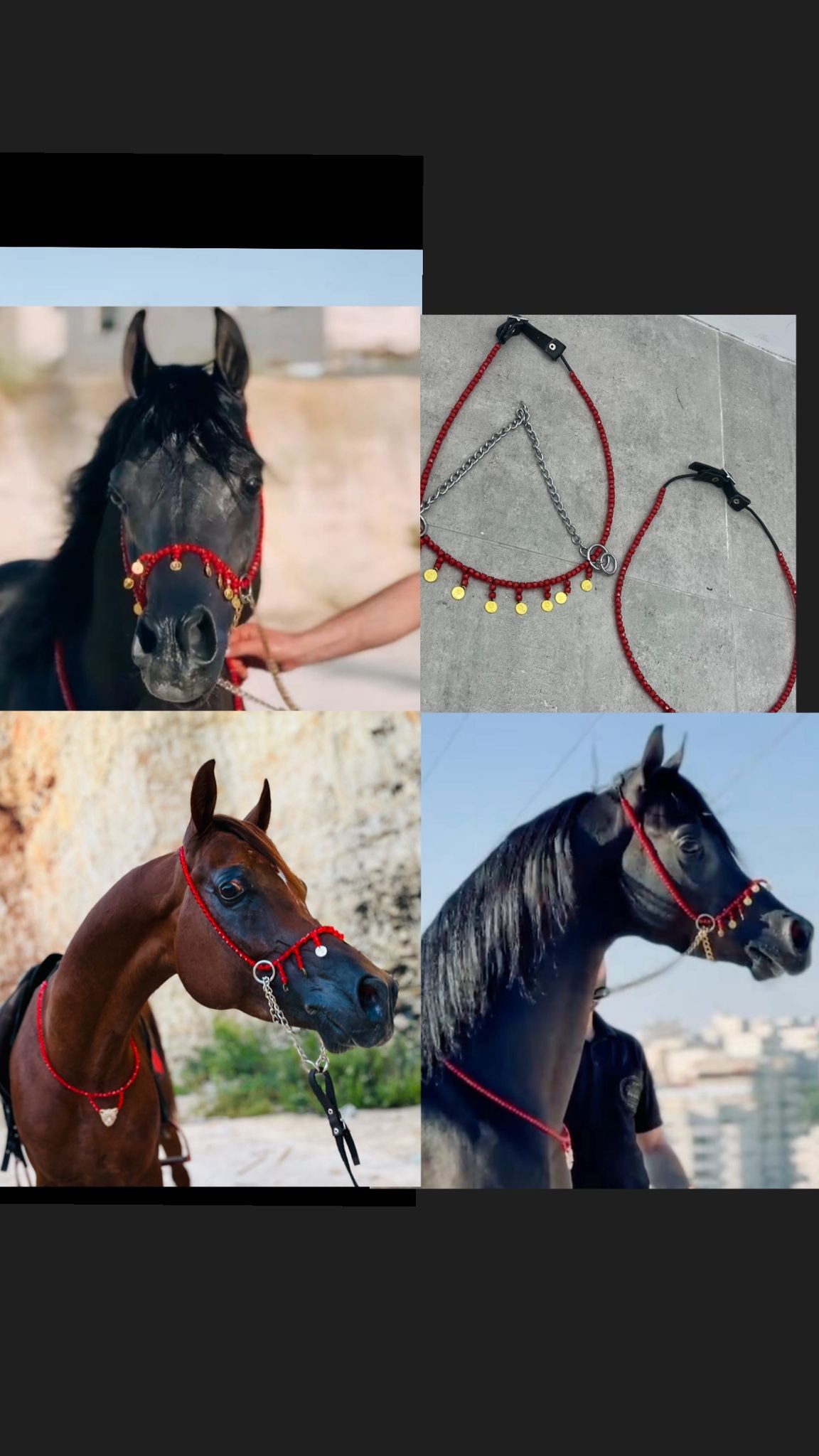 طقم جمال أحمر بشناف