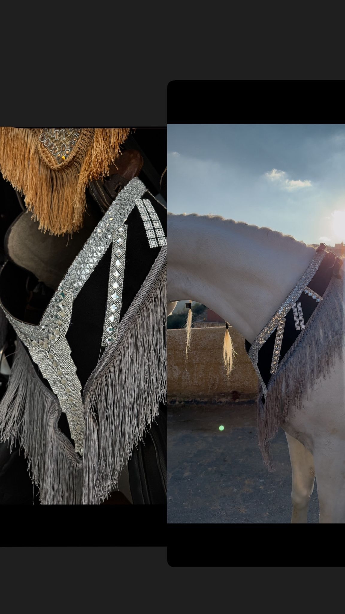 صداري الجمال (تتويج)